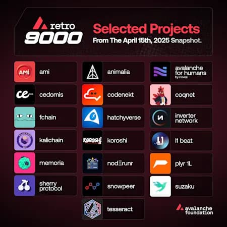 Avalanche Reveals First Retro9000 Grantees