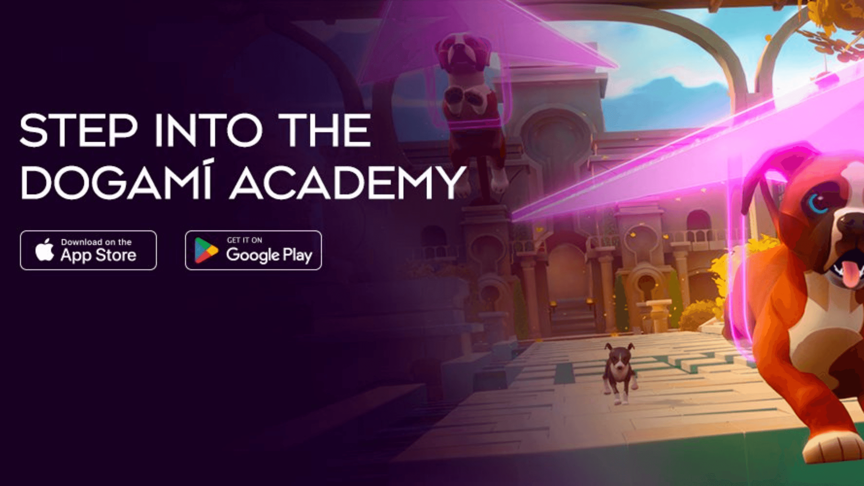 Dogami Seeks Buyer Following Financial Setback