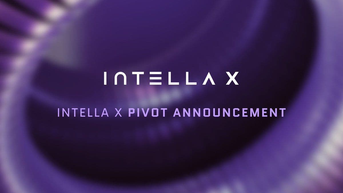 Intella X Web3 Services to be Terminated