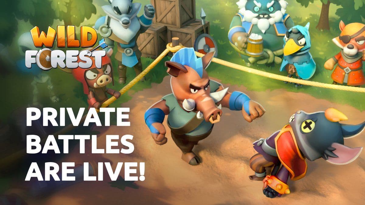 Wild Forest Announces Summer Updates