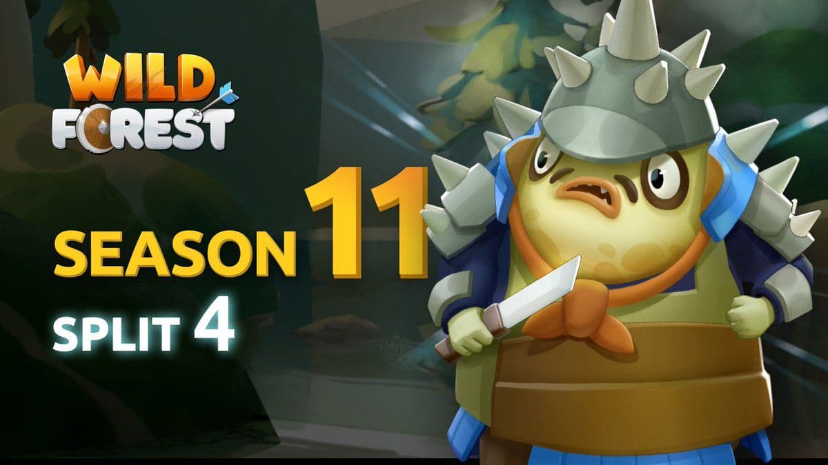 Wild Forest Announces Summer Updates