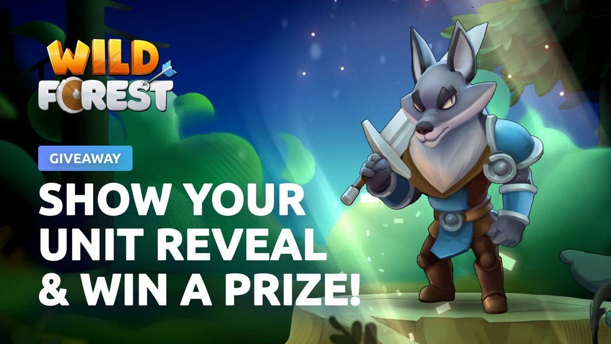 Wild Forest Announces Summer Updates