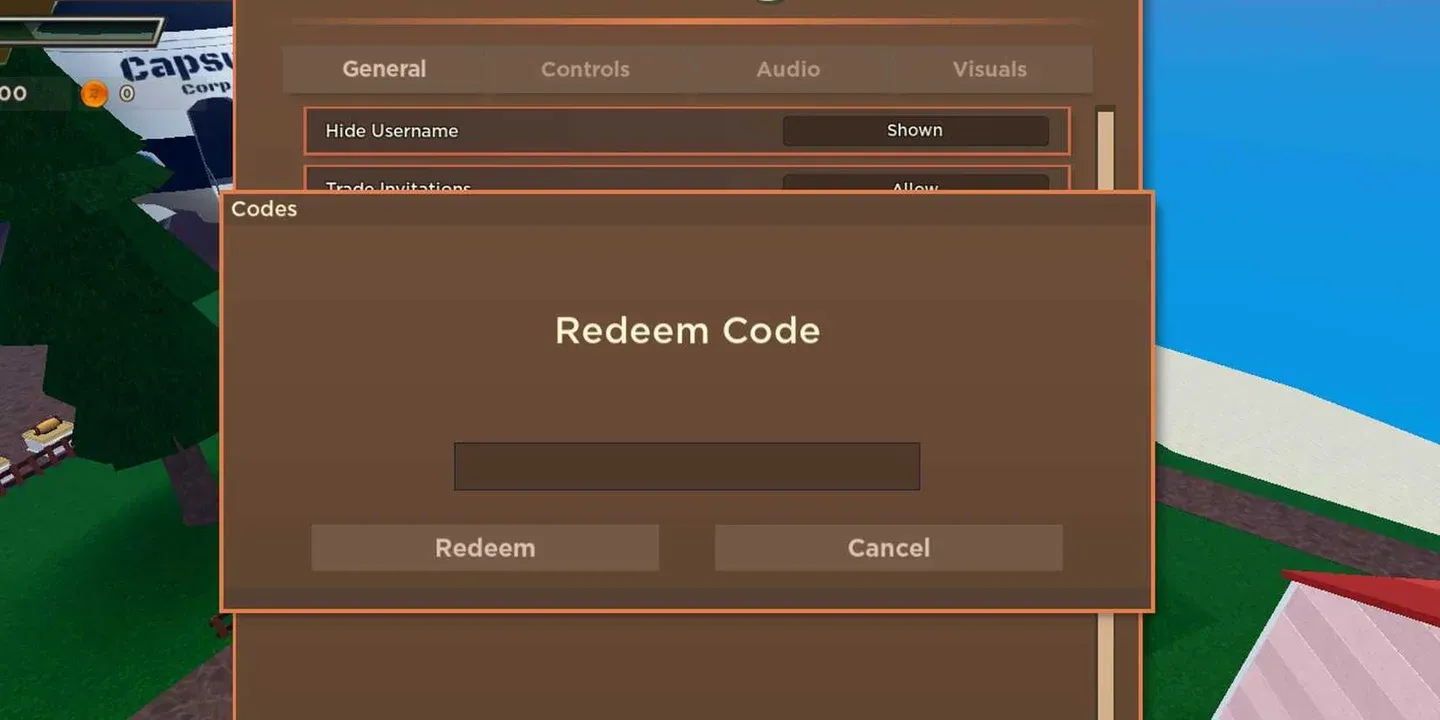 Settings panel code entry