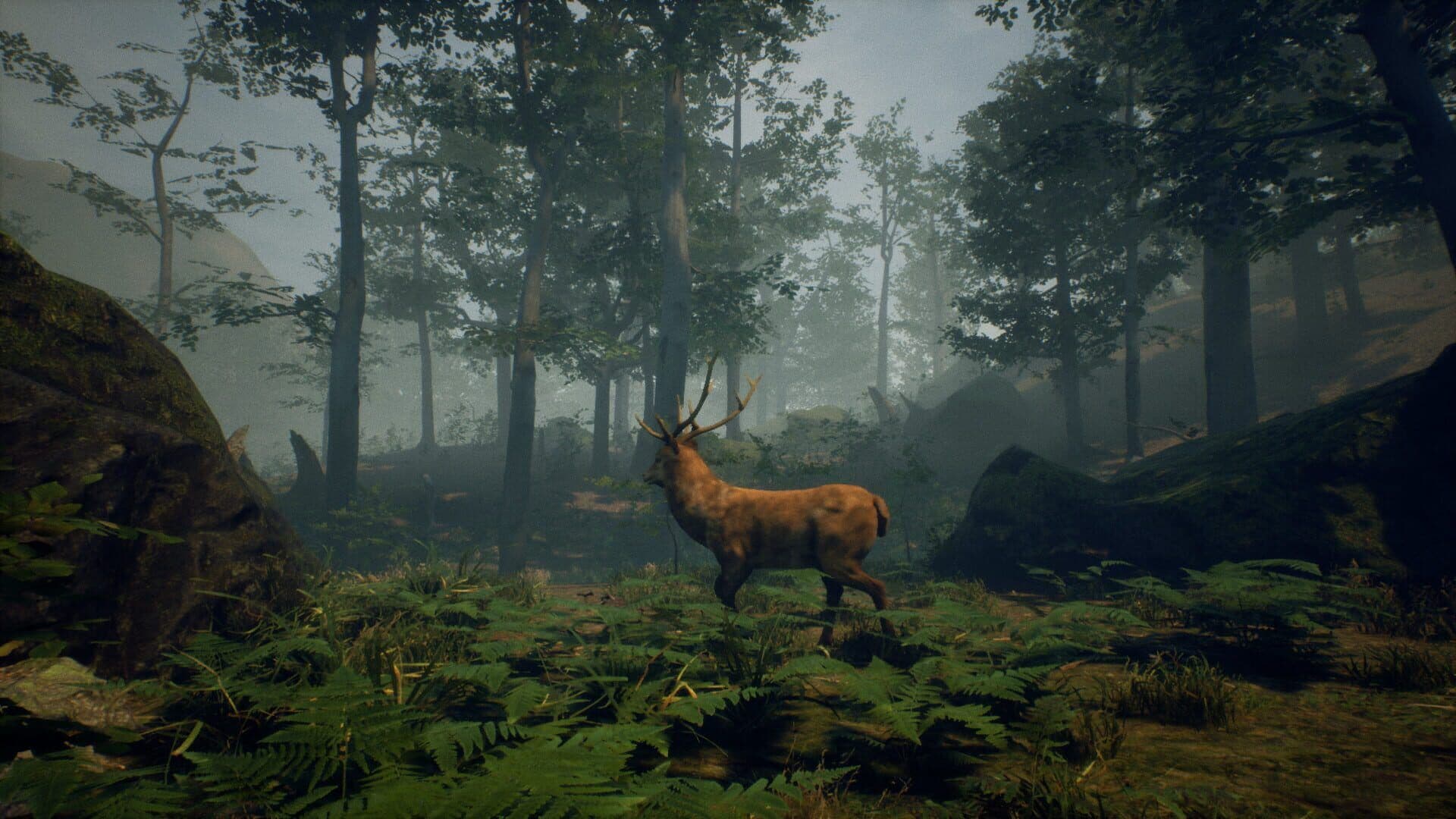 Folklore Hunter Screenshot 17