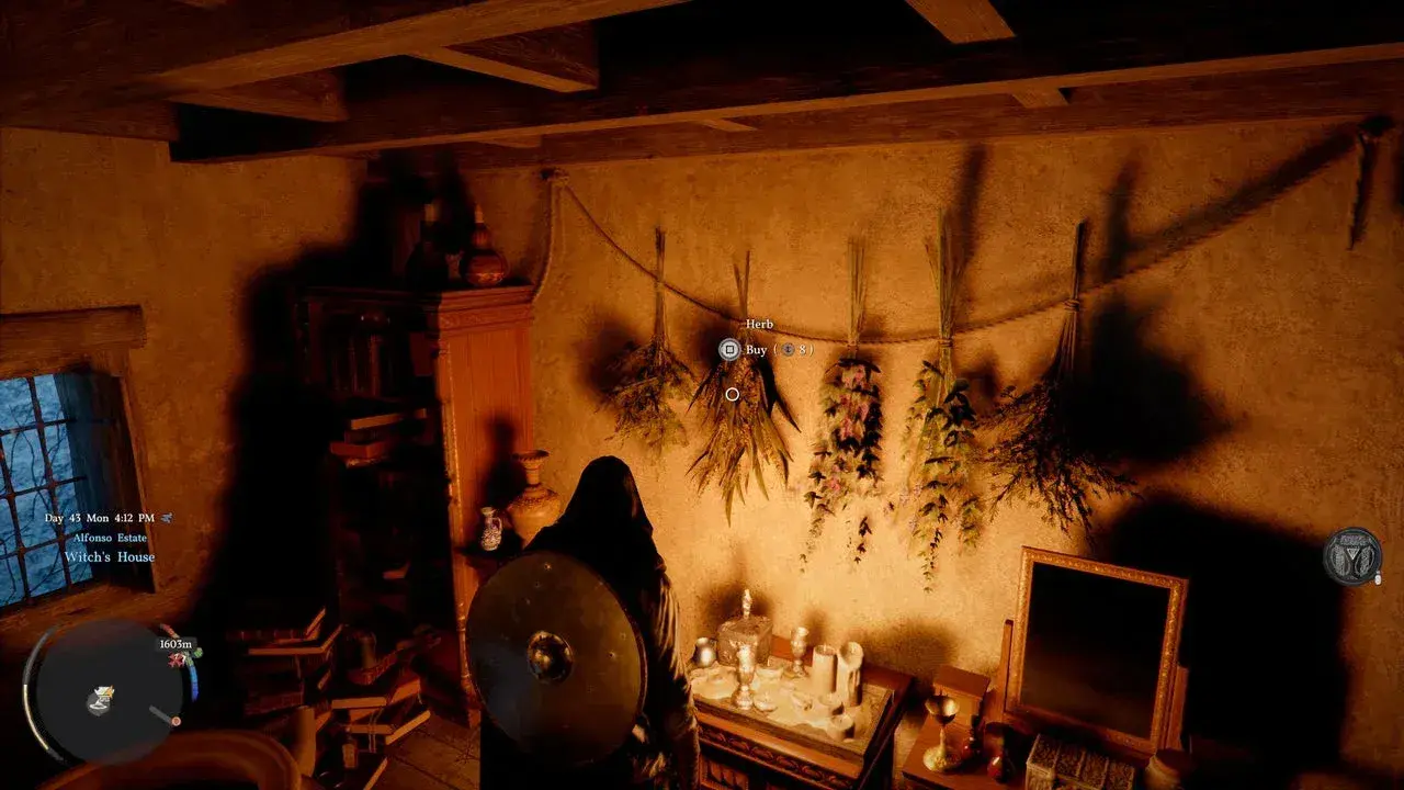 Rosemary spots inside Hernand