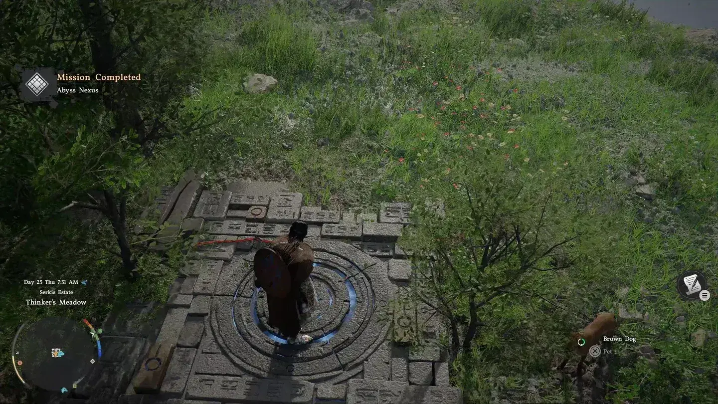 Burning the Spire entrance thicket