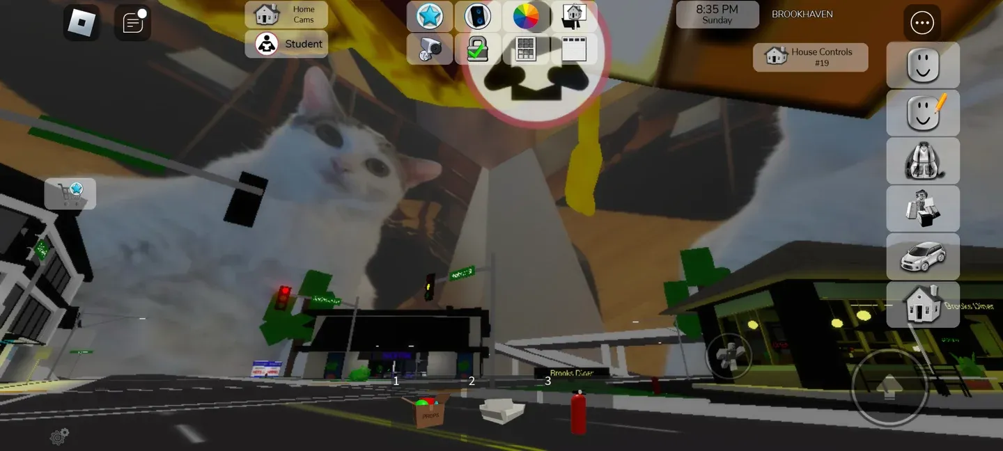 Joining via private server link