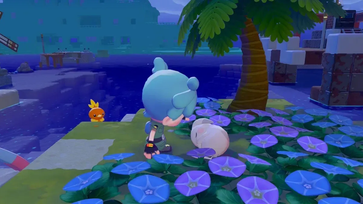 Water chaos on a Pokopia island