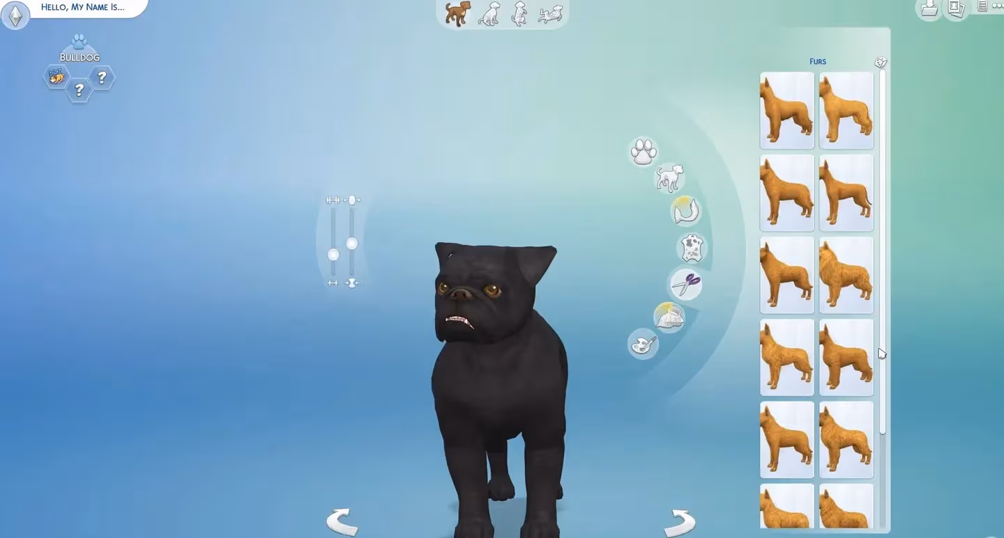 Create a Pet customization screen