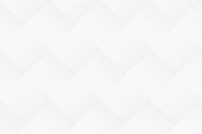 white background.webp