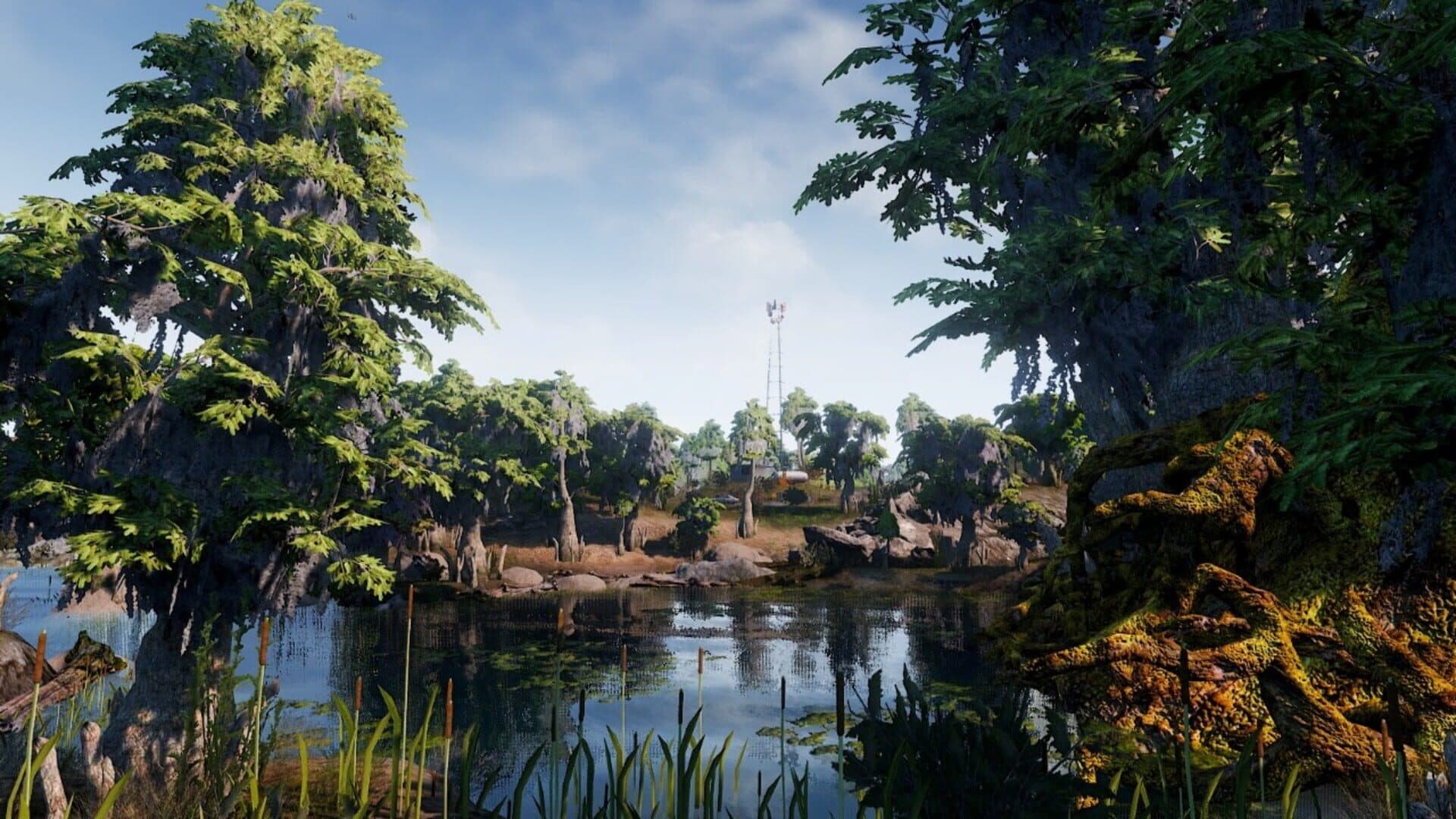 Maneater Gameplay Environment