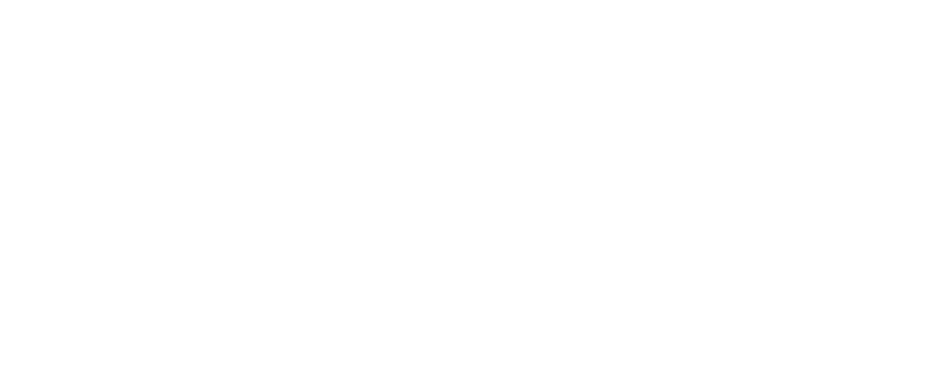 2040_logo_white.png