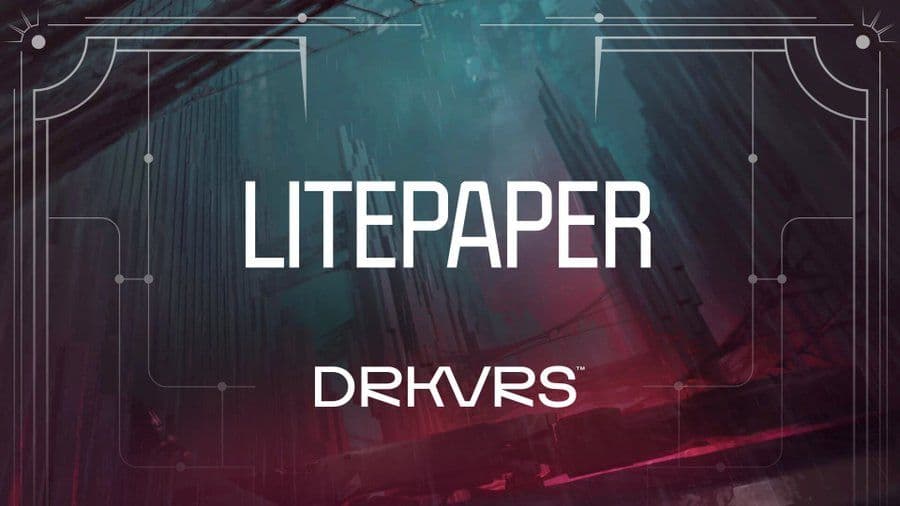 DRKVRS Litepaper独家细节揭秘 image