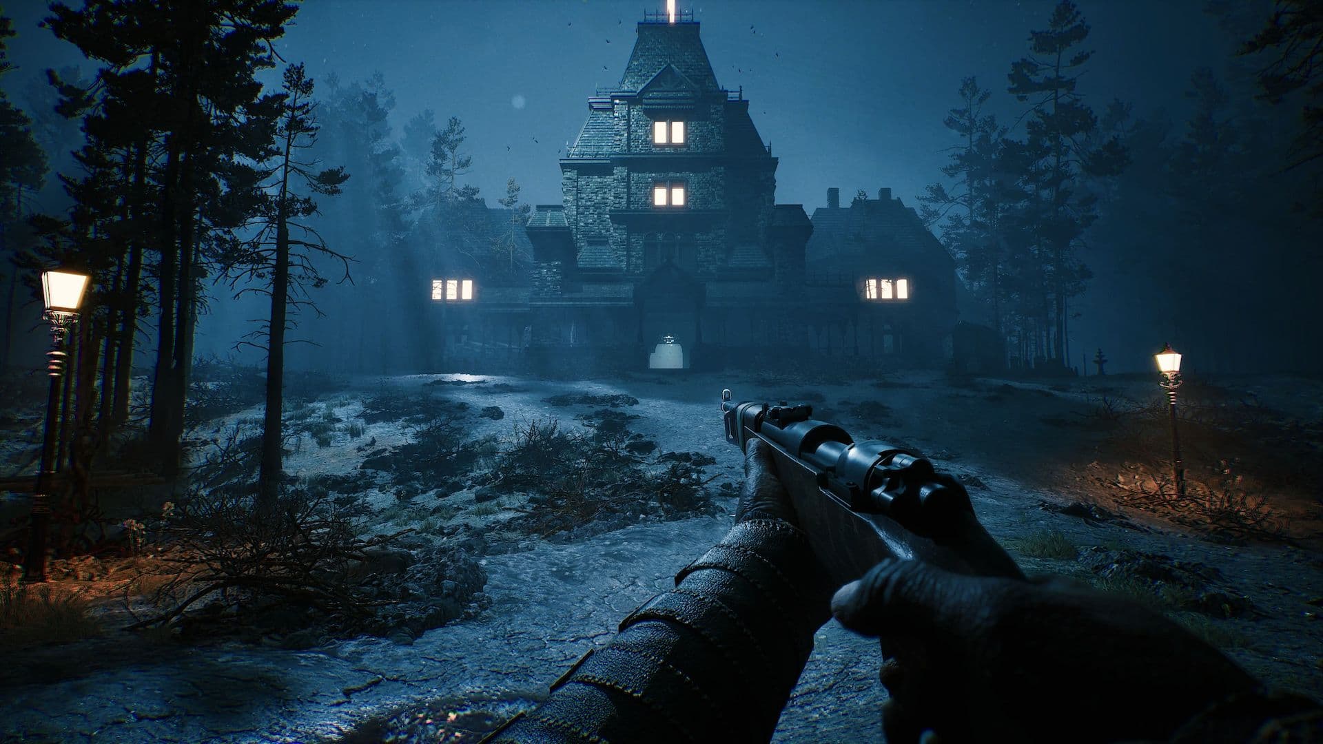 The Bornless game image 1.jpg