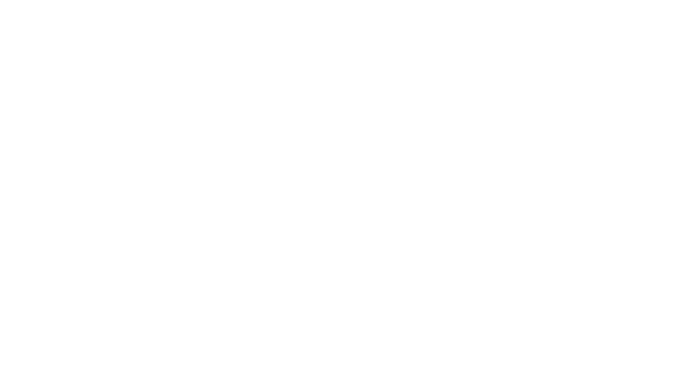 Yoloex logo.png
