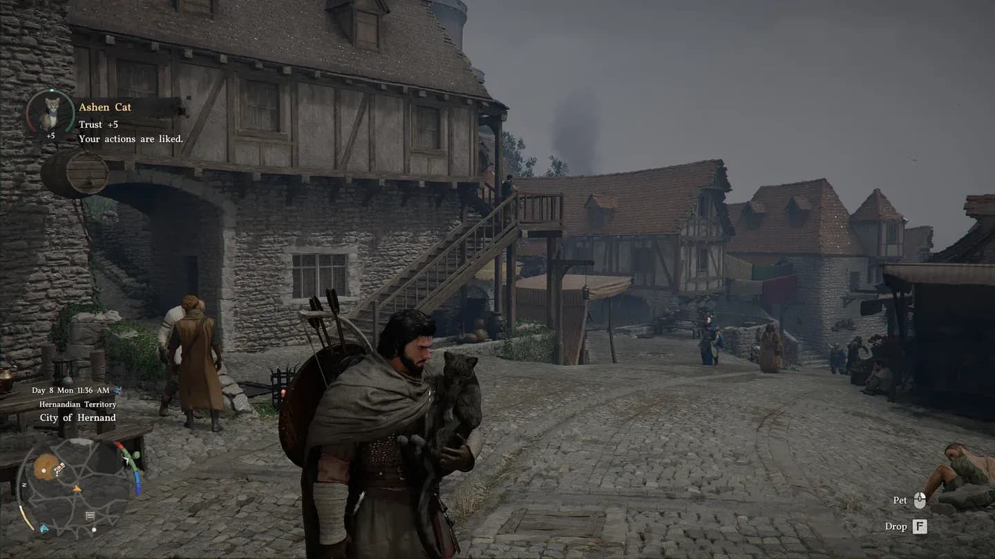 Descarte comida para alimentar seu pet