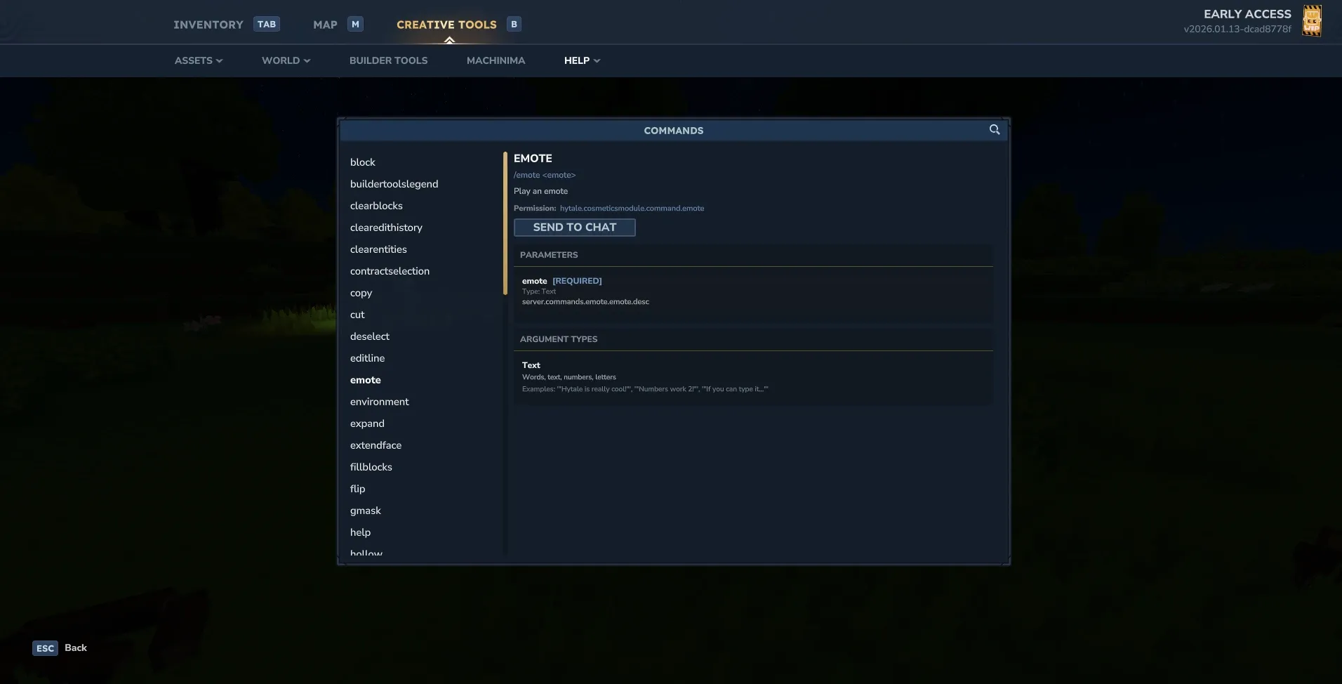 Server startup console