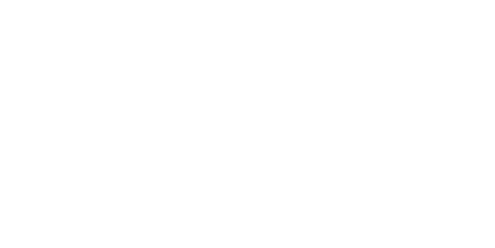 Mark of the Ninja Logo