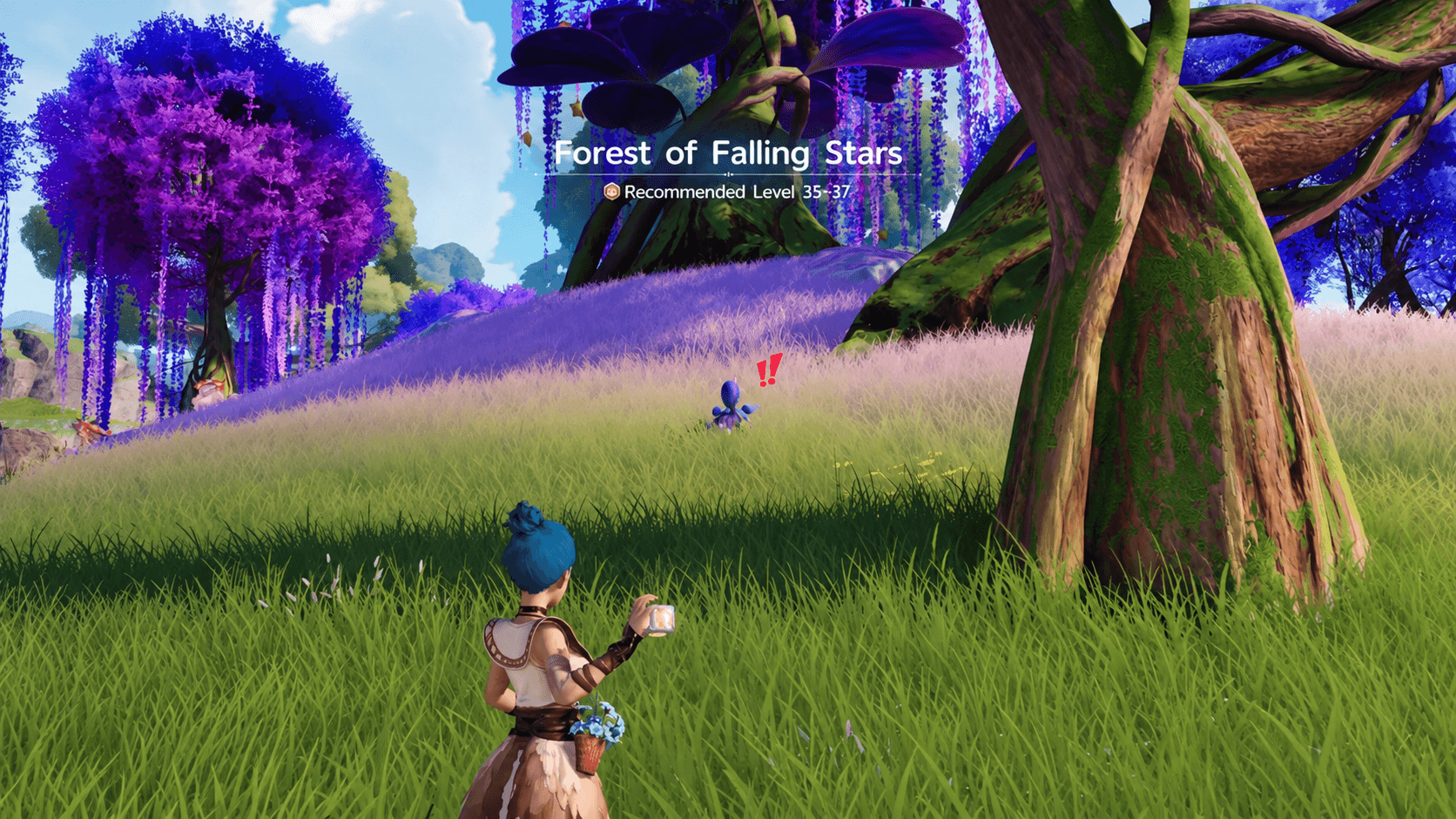 Aniimo Guide: All Aniimo Locations in Forest of Falling Stars