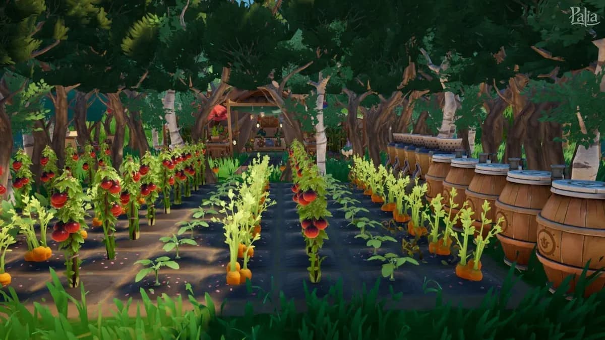 Tomato farm on housing plot