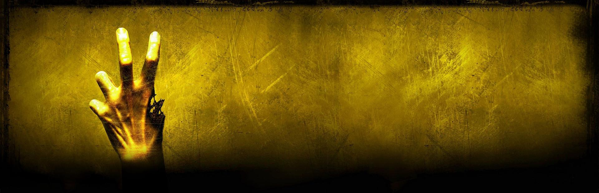 Left 4 Dead 2 Banner