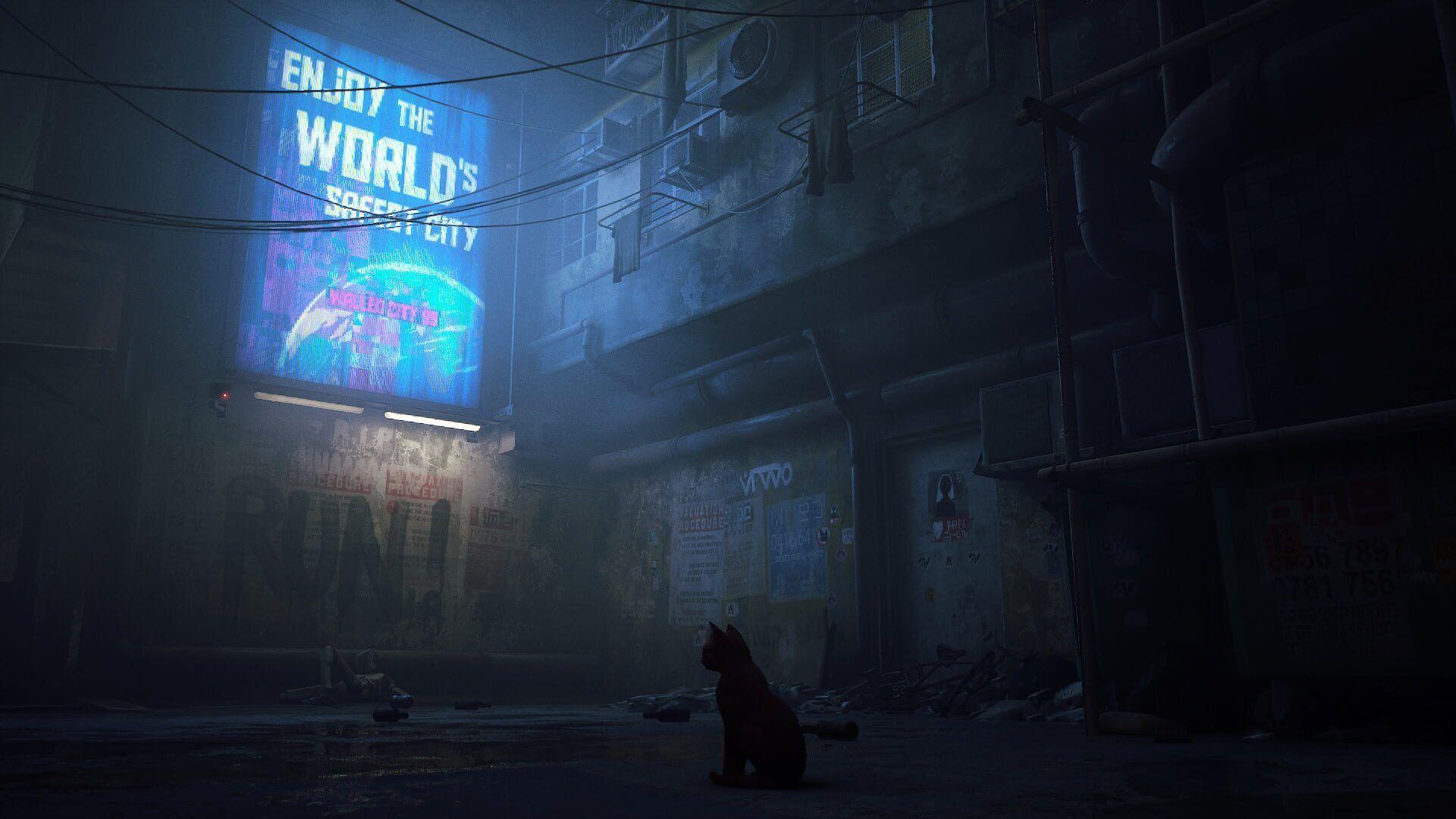 Stray Gameplay