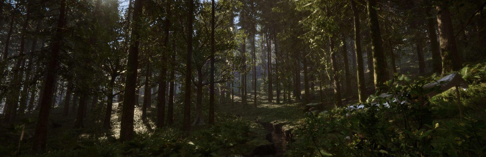 Sons Of The Forest Banner