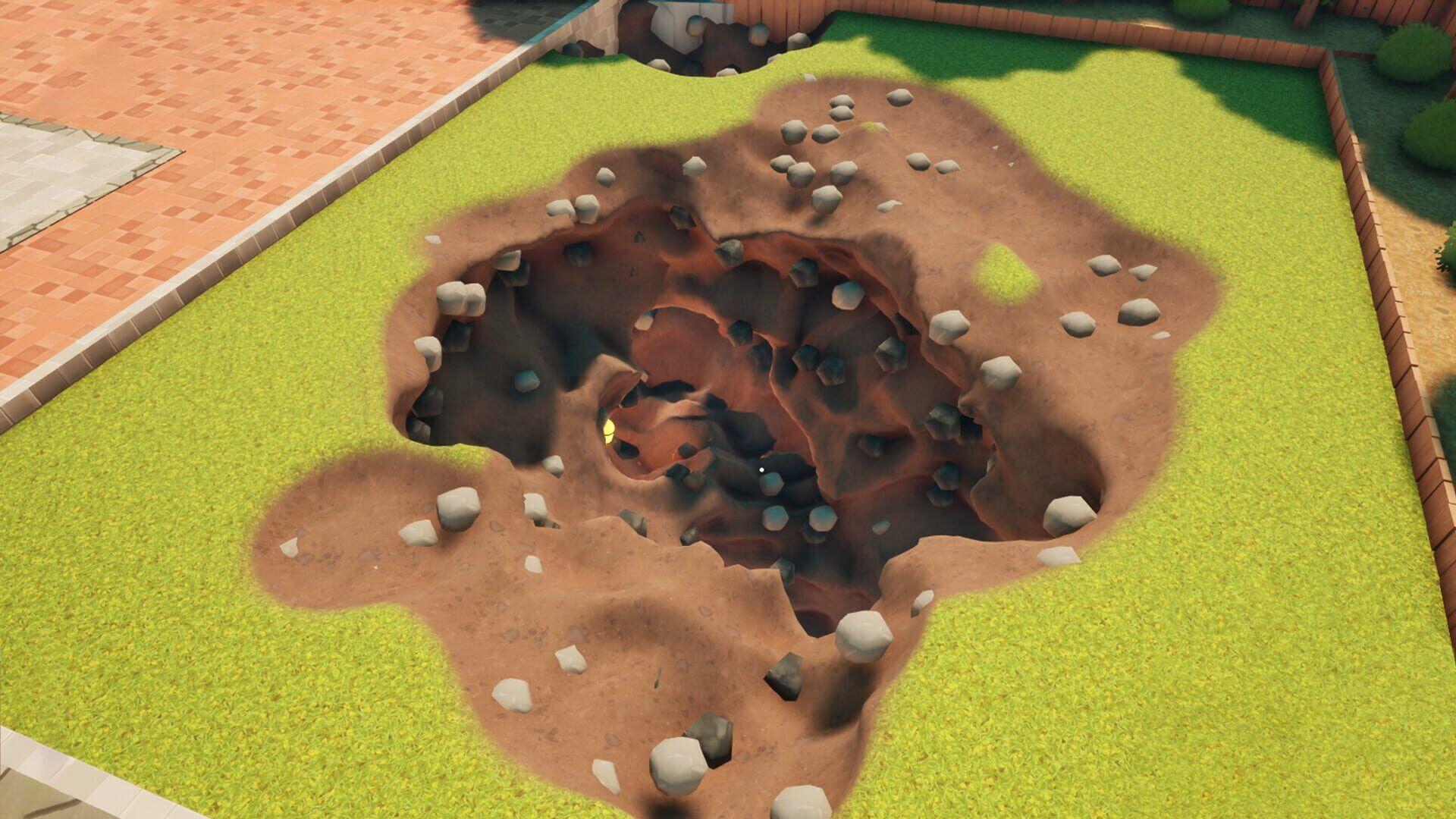 Gallery image 6