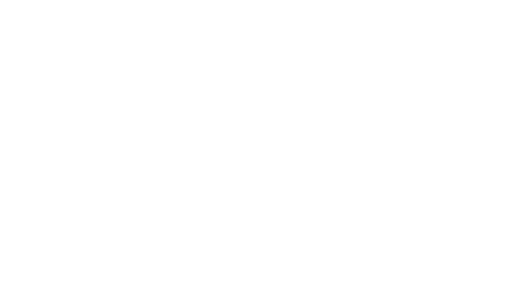Aviatrix