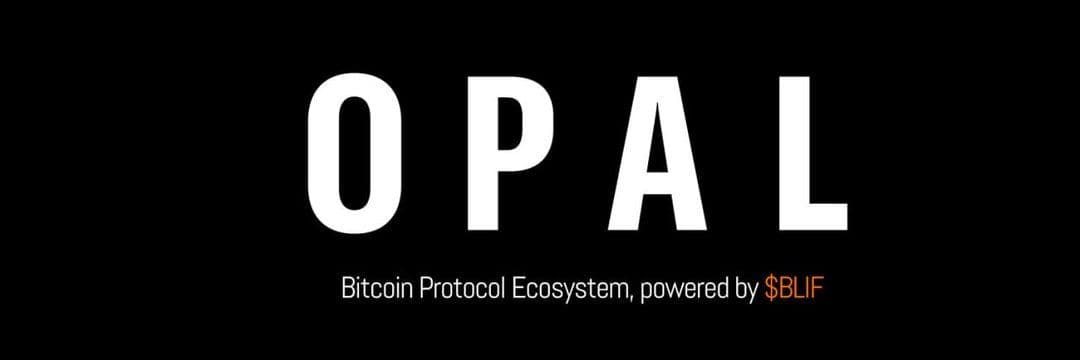 Animoca and Darewise Unveil Bitcoin Protocol OPAL