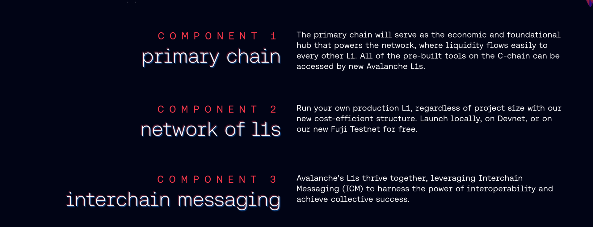 Avalanche9000: Reshaping Blockchain Development