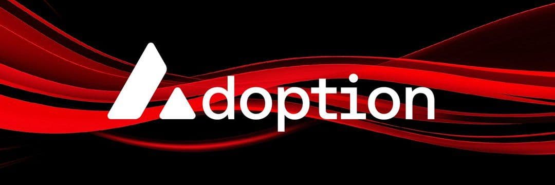 Avalanche Beginner’s Guide to Blockchain Development