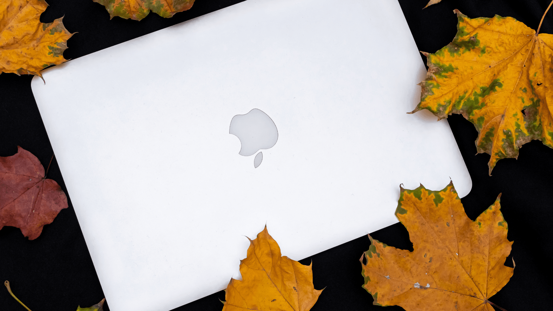 أفضل أجهزة Mac للألعاب في 2025 image