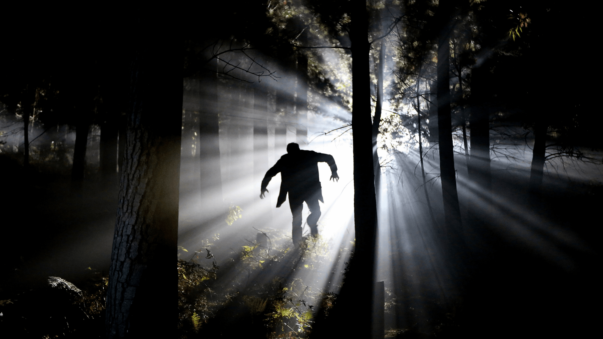 2025년 최고의 Roblox 공포 게임 image