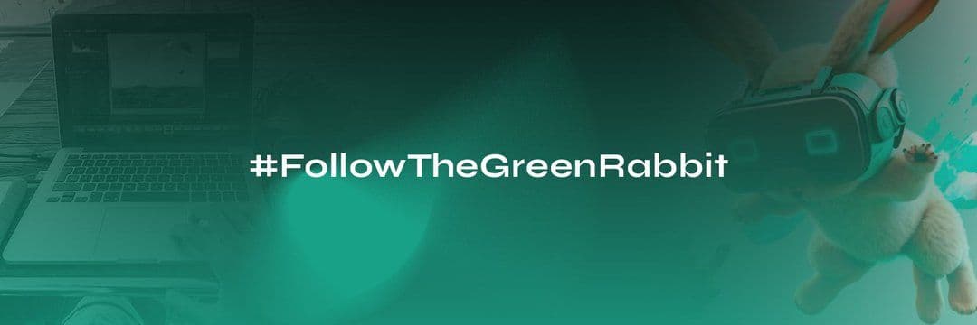 Bondex Secures Strategic Investment from Animoca Brands