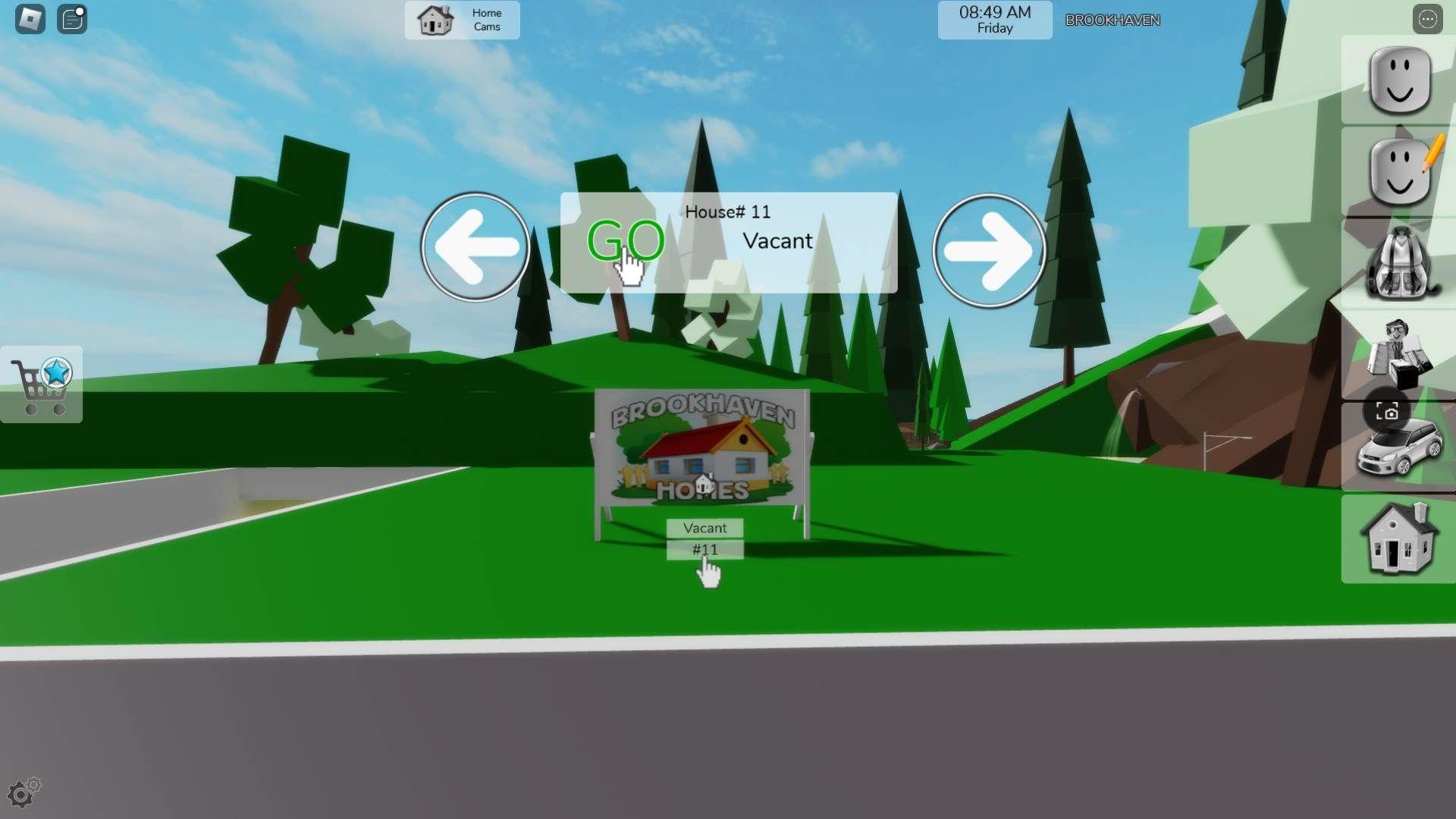 Brookhaven8.jpg