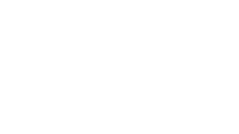 Day of the Shell
