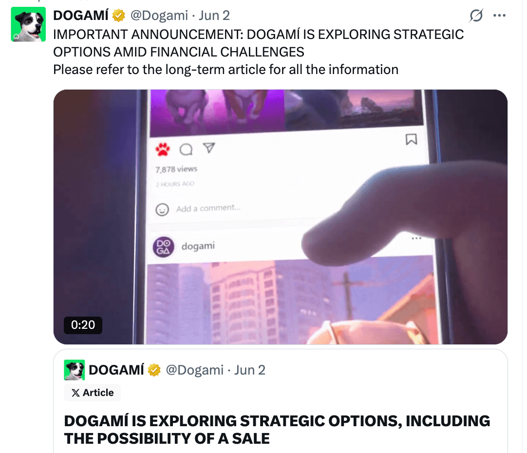 Dogami Seeks Buyer Following Financial Setback