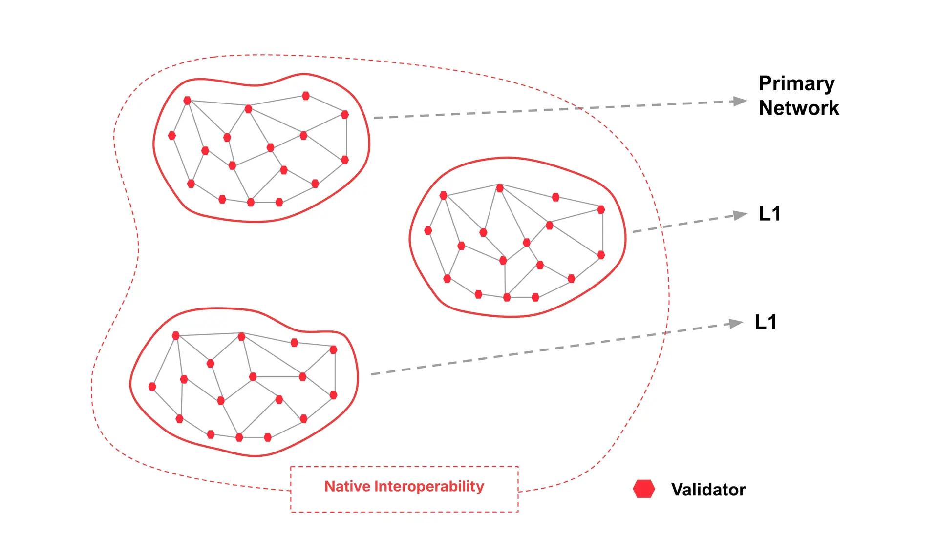 Everything You Need To Know About Avalanche Protocol
