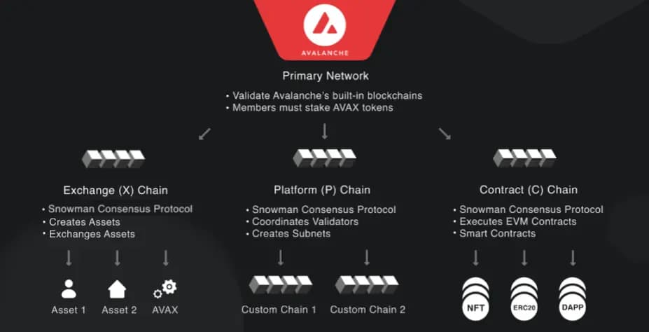 Everything You Need To Know About Avalanche Protocol