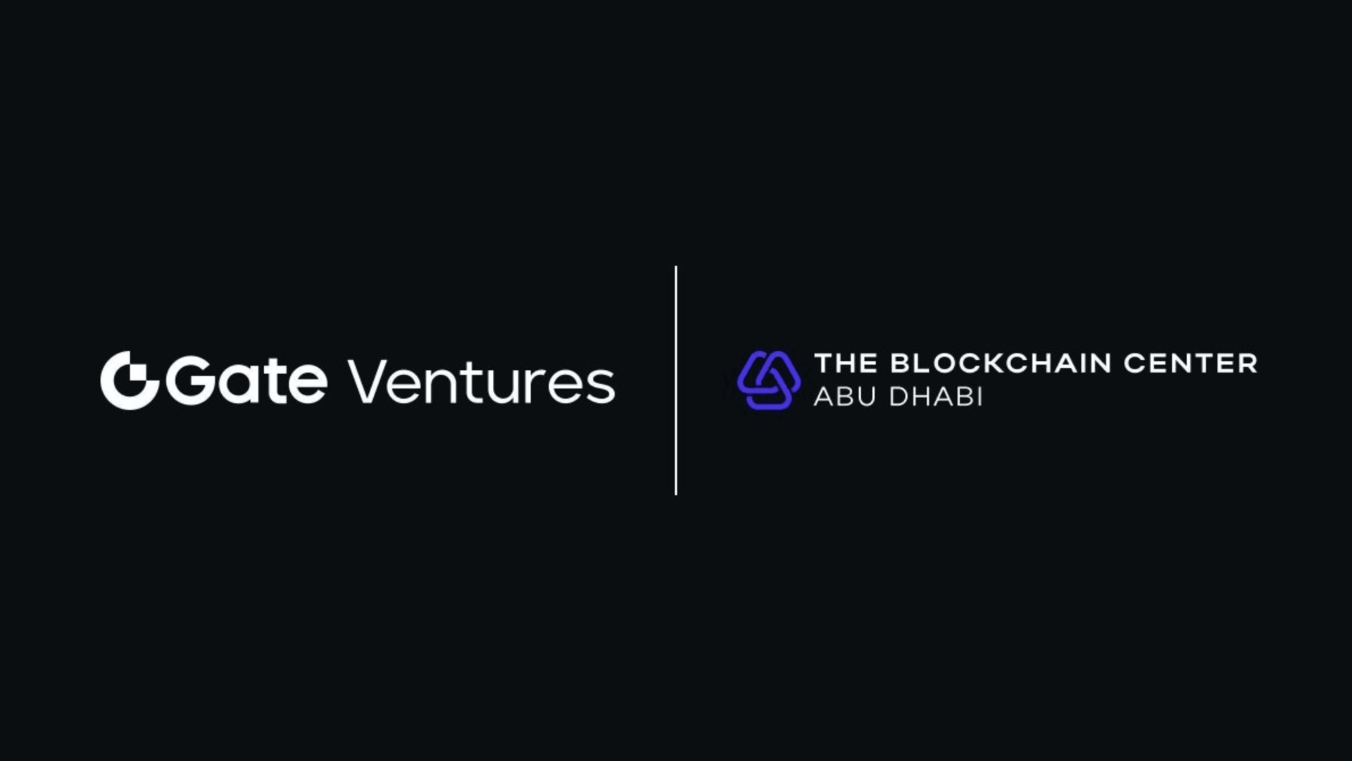 Falcon Gate Ventures New $100 Million Fund for Web3 image
