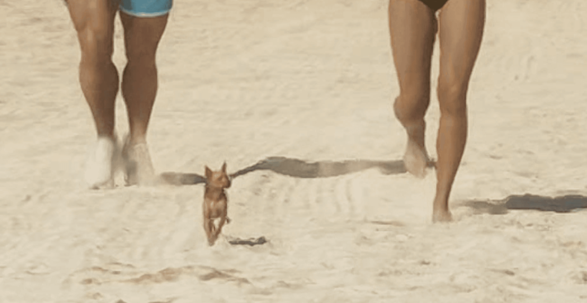 GTA 6 Trailer 2 Breakdown