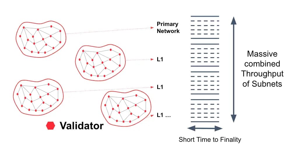 How to Build and Deploy an Avalanche L1