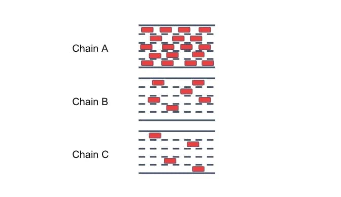 How to Build and Deploy an Avalanche L1