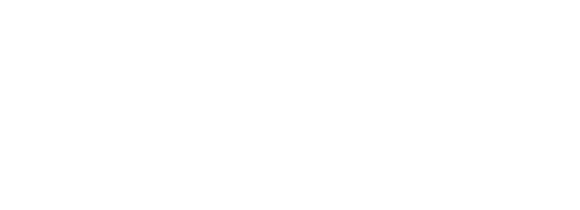 Intraverse Logo.png