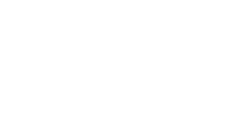 Mini Royale: Nations
