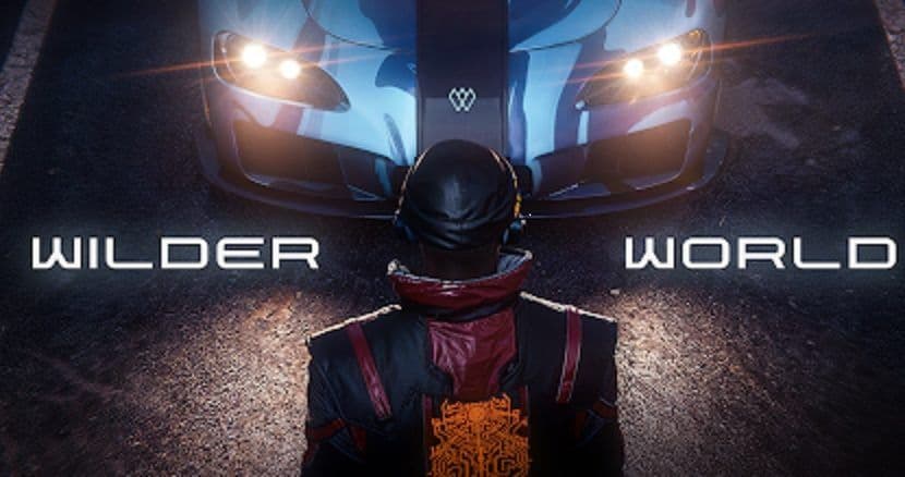 เกม MMO Metaverse Wilder World บน Epic Games Store image