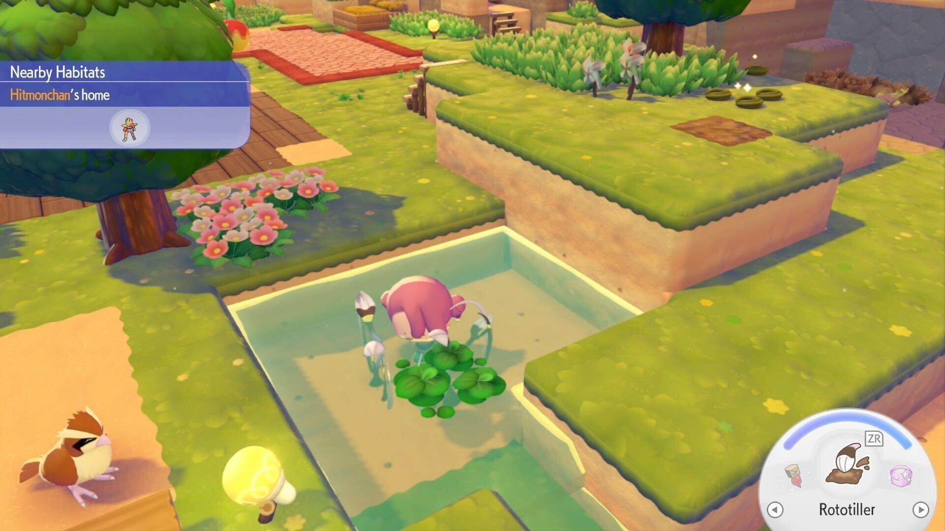 Pokémon Pokopia Guide: How to Make Duckweed