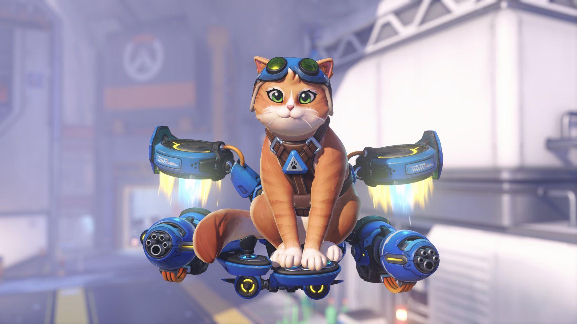 Overwatch Jetpack Cat.jpg