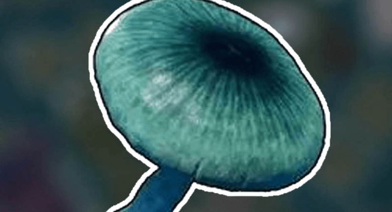 Palworld 1.0 Mysterious Mushroom Best Farming Location